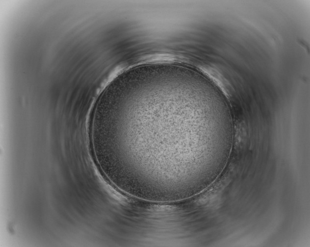 X0000097511475200802291608
