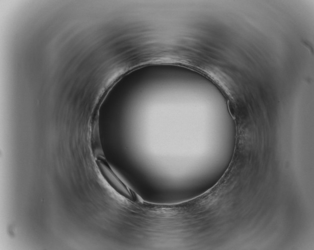 X0000097511476200802291608