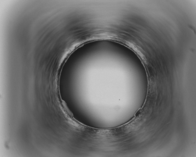 X0000097511477200802291608
