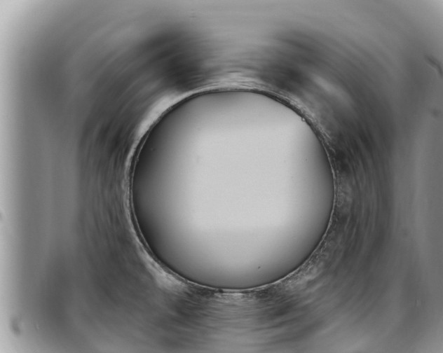 X0000097511478200802291608