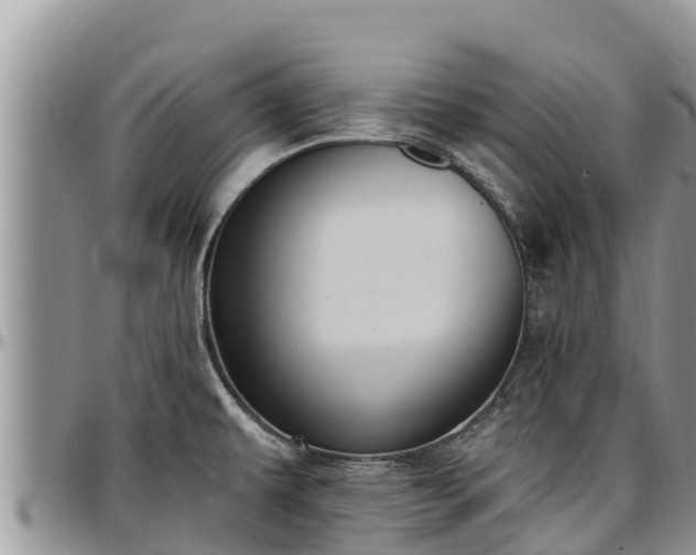 X0000097511479200802291608