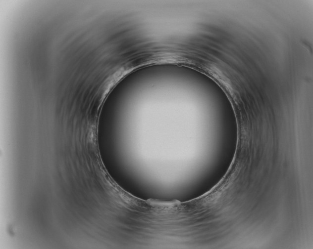 X0000097511481200802291608