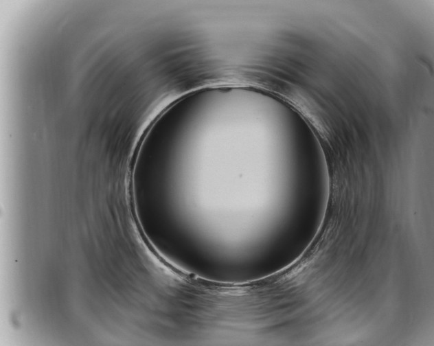 X0000097511484200802291608