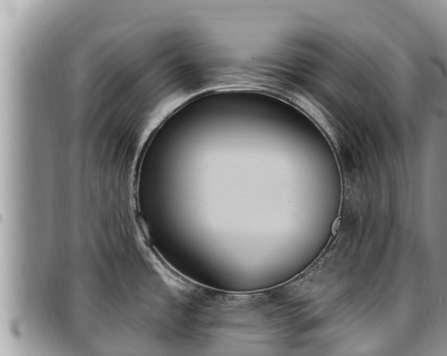 X0000097511485200802291608