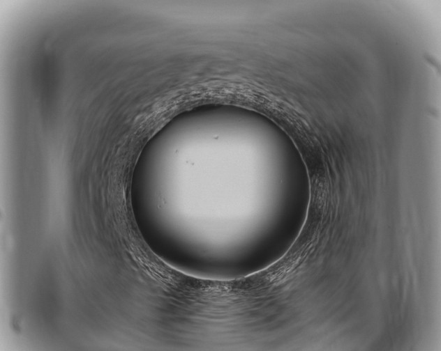 X0000097511489200802291608