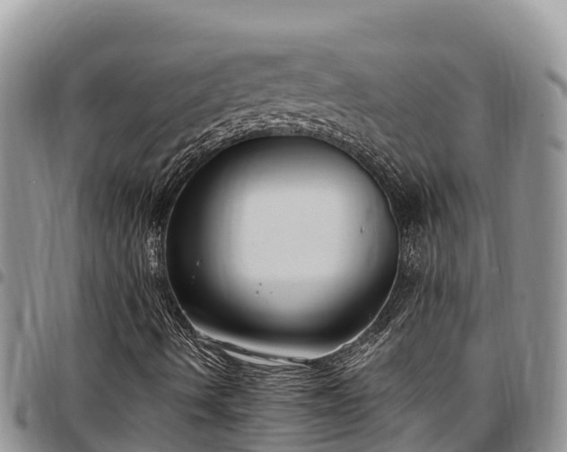 X0000097511490200802291608