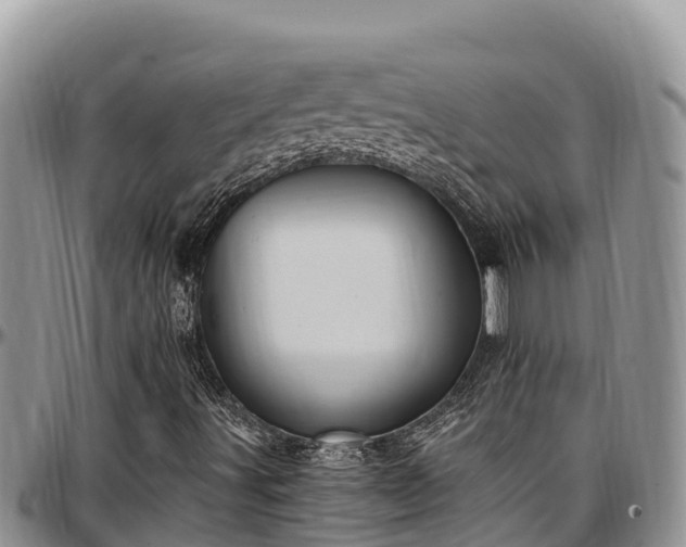 X0000097511491200802291608