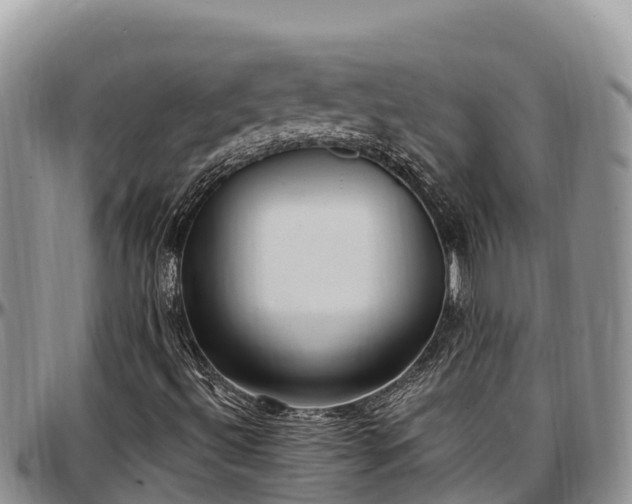 X0000097511492200802291608