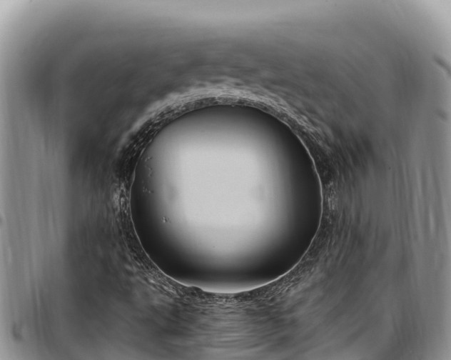 X0000097511495200802291608
