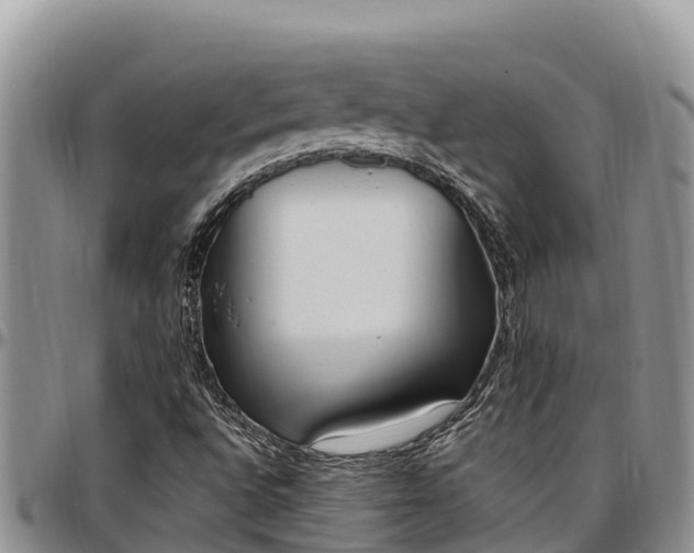 X0000097511496200802291608