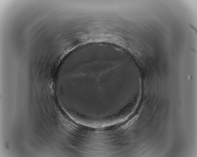 X0000097511497200802291608