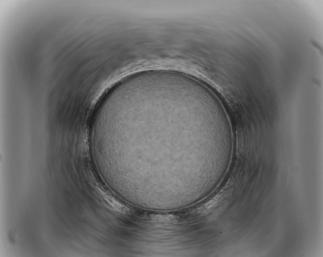 X0000097511498200802291608