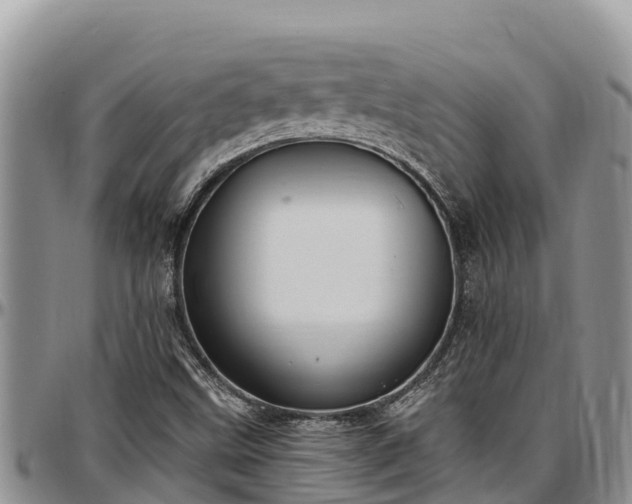 X0000097511499200802291608