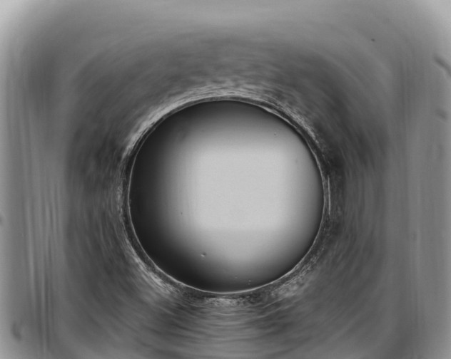 X0000097511500200802291608