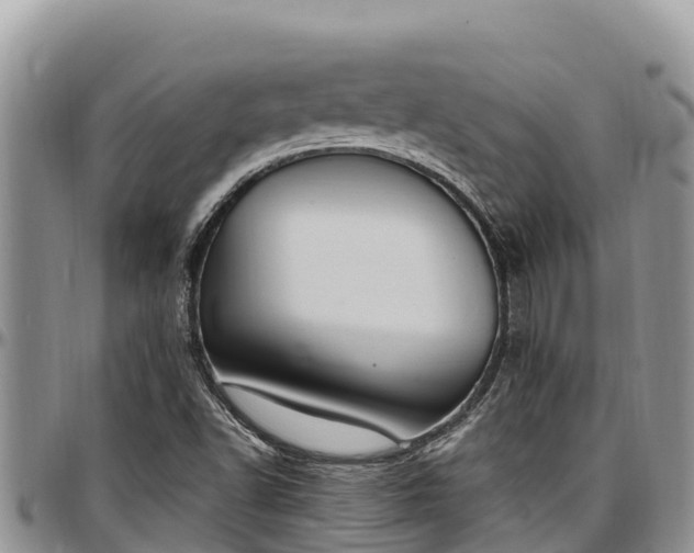 X0000097511502200802291608