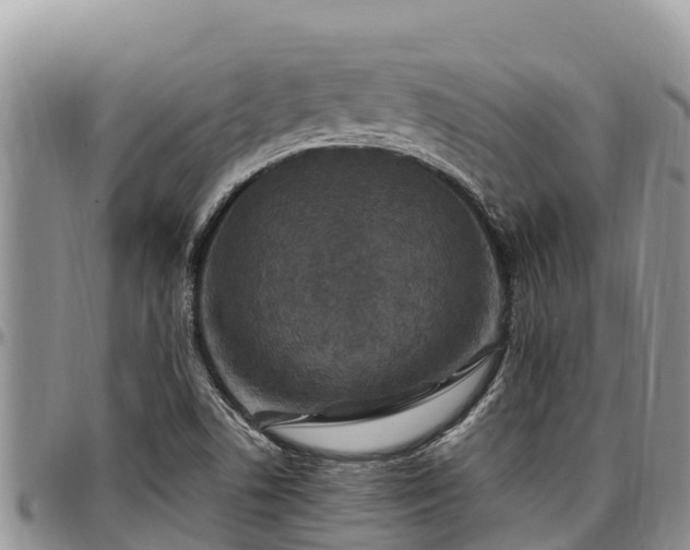 X0000097511506200802291608