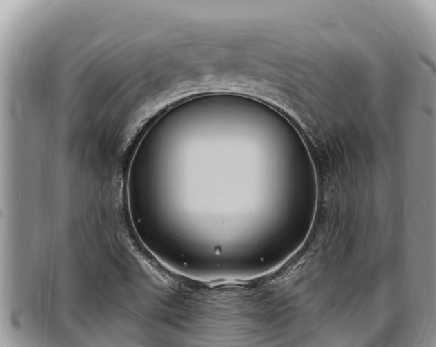 X0000097511507200802291608