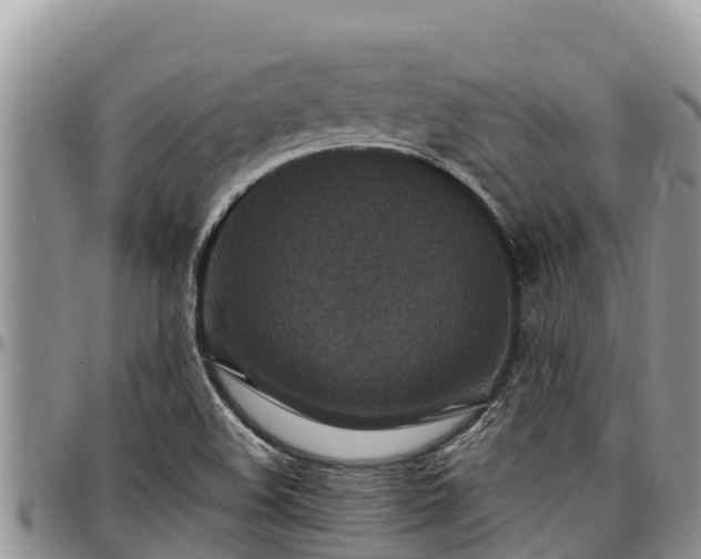 X0000097511508200802291608