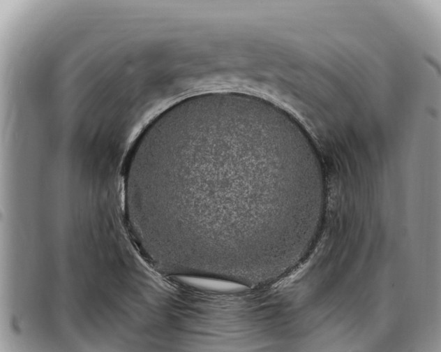 X0000097511509200802291608