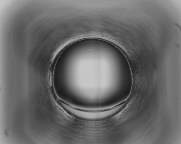 X0000097511510200802291608