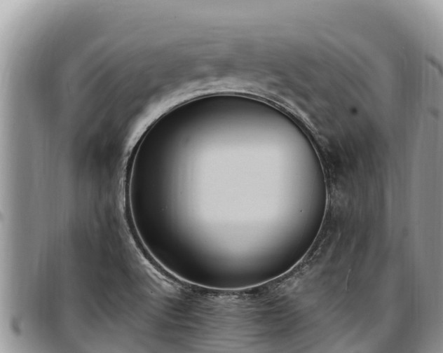 X0000097511512200802291608