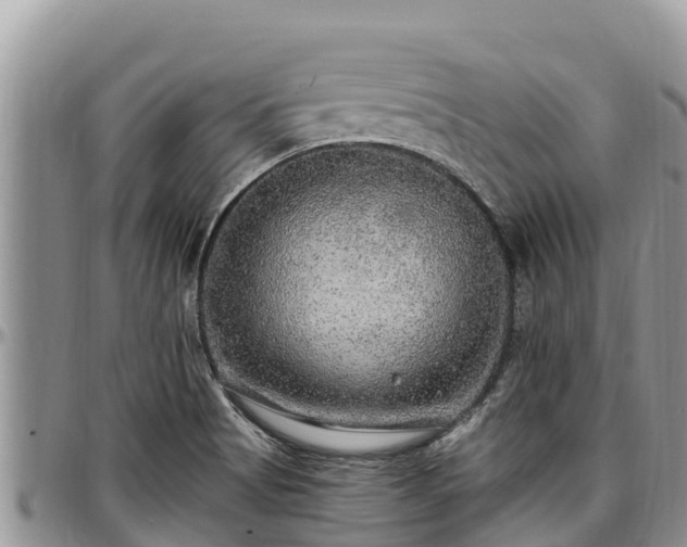 X0000097511513200802291608