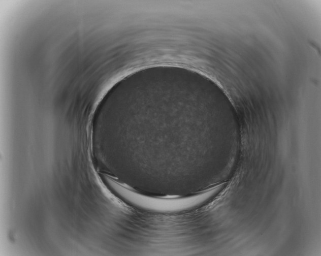 X0000097511515200802291608