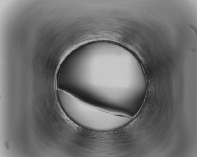 X0000097511516200802291608