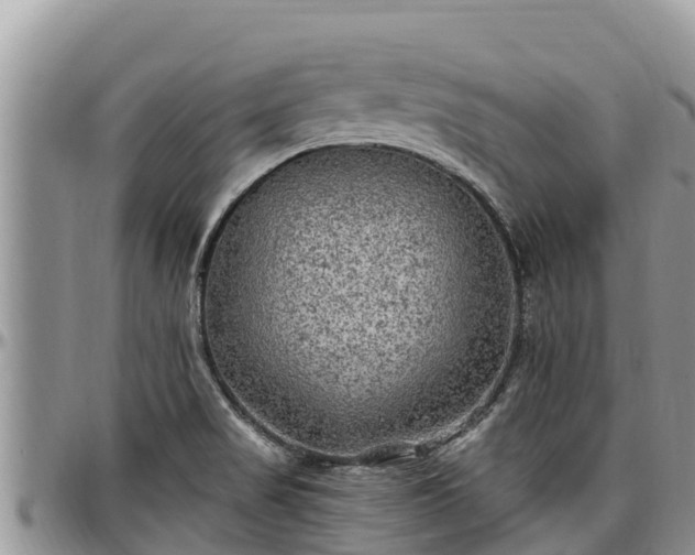 X0000097511517200802291608