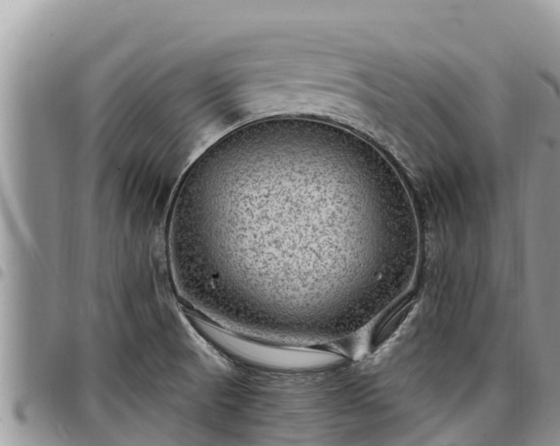 X0000097511521200802291608