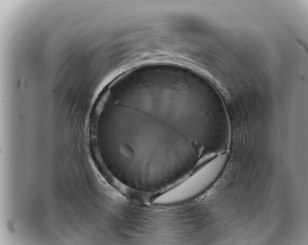 X0000097511522200802291608