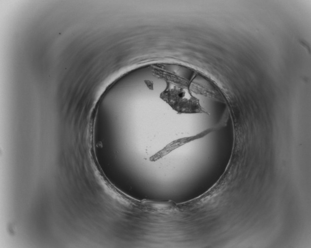 X0000097511526200802291608