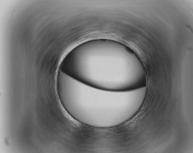 X0000097511528200802291608