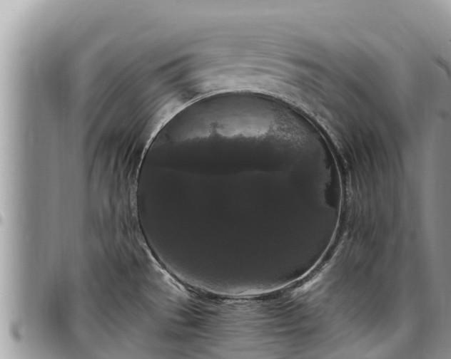 X0000097511529200802291608