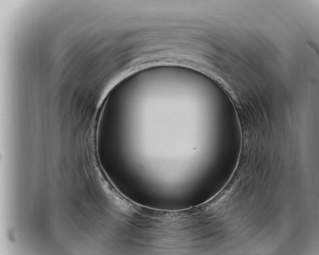 X0000097511530200802291608
