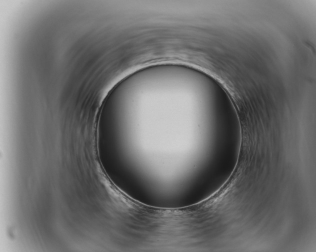 X0000097511534200802291608