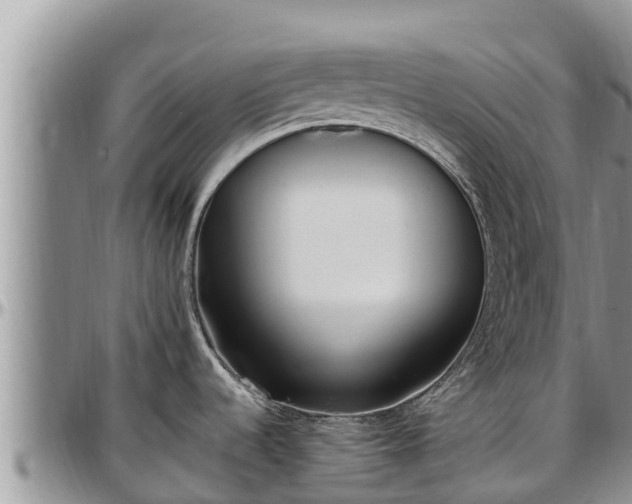 X0000097511536200802291608