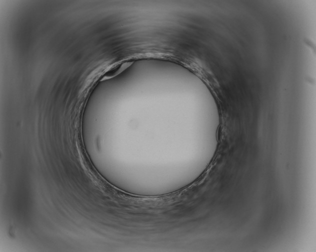 X0000097510001200803071835