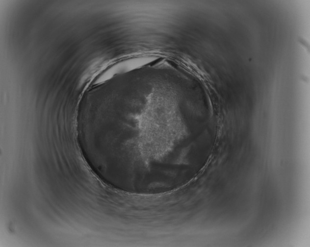 X0000097510002200803071835