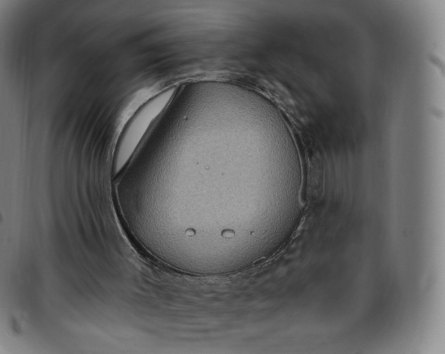 X0000097510003200803071835