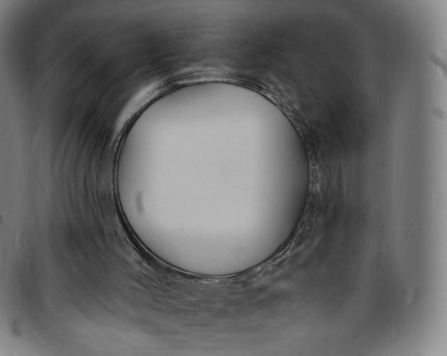 X0000097510004200803071835