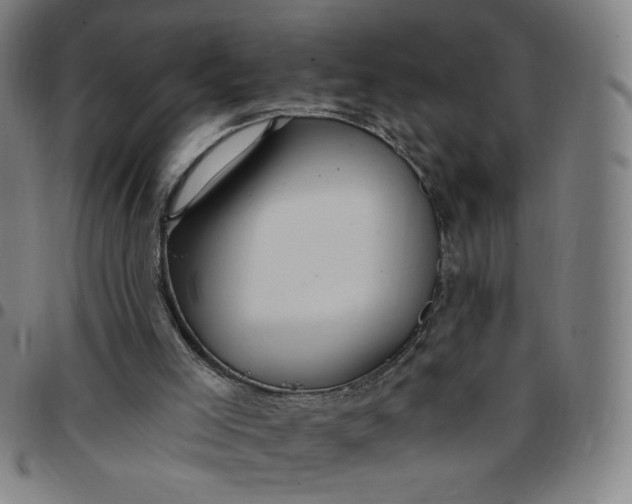 X0000097510005200803071835