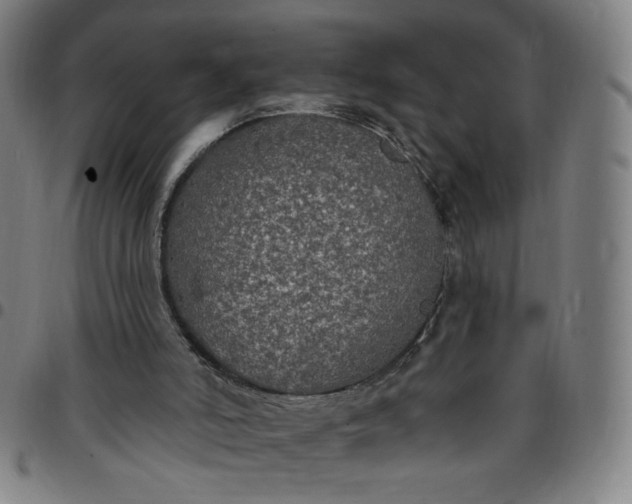 X0000097510006200803071835