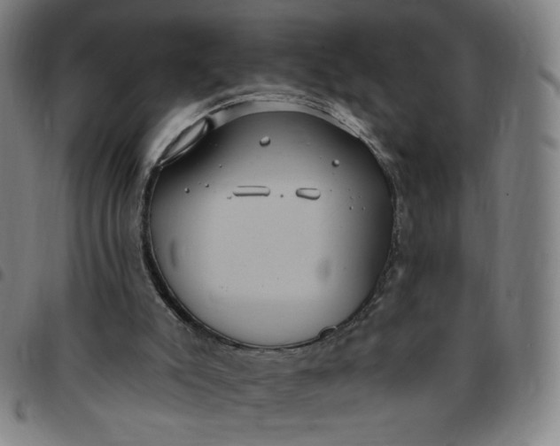 X0000097510007200803071835