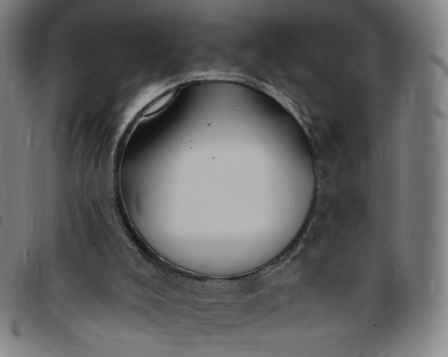 X0000097510008200803071835