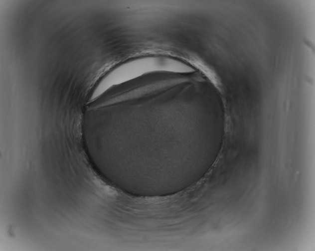 X0000097510009200803071835