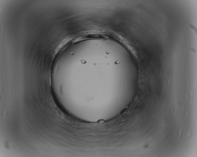 X0000097510011200803071835