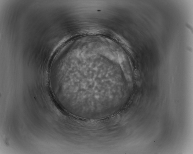 X0000097510012200803071835