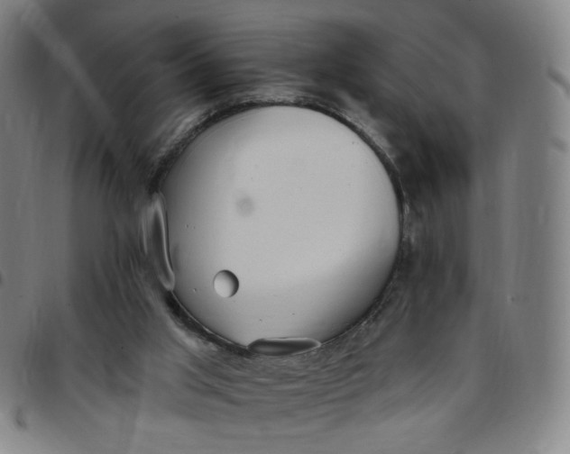 X0000097510013200803071835