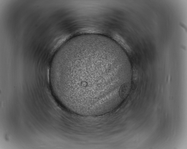 X0000097510014200803071835